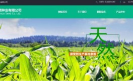 警惕: 利用搜索結果頁SEO屬被打擊行為