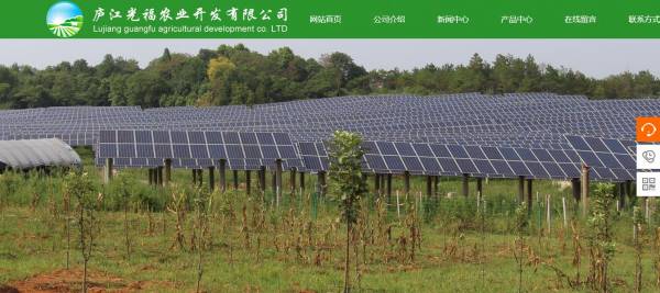 論壇相關(guān)SEO設(shè)置技巧